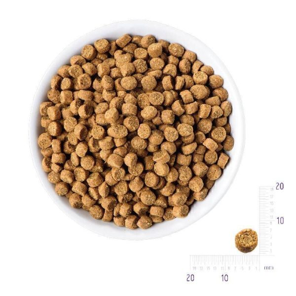 غذای خشک گربه بالغ با طعم مرغ رفلکس پلاس Reflex Plus Adult Chicken وزن 1.5 کیلوگرم - تصویر 3